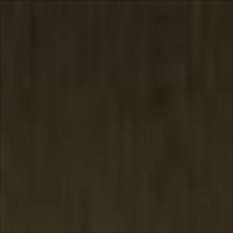 72043 Game Color 48 Paint- Beasty Brown