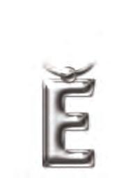 2205 Solid Metal Initial Keyring - E