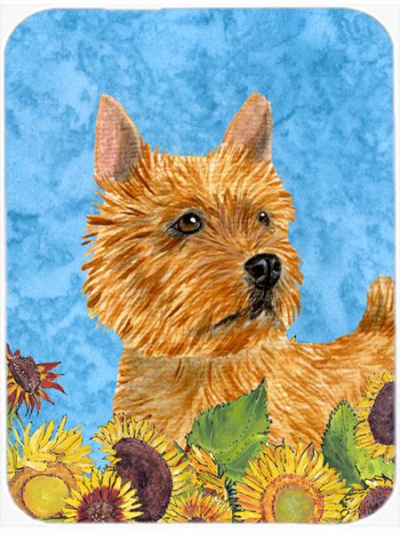 SS4132LCB Norwich Terrier Glass Cutting Board - Large