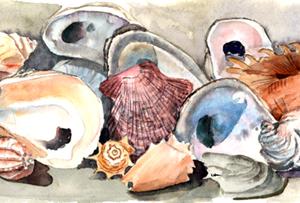 8619PLMT Shell Fabric Placemat