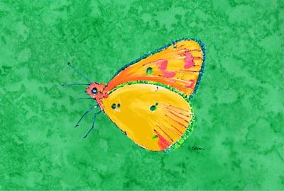 Butterfly Orange On Green Fabric Placemat