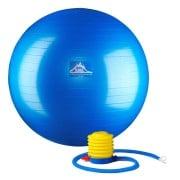 55 cm. Static Strength Exercise Stability Ball- Blue