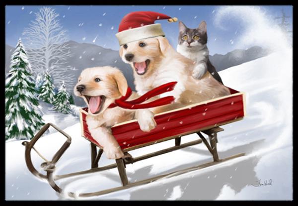 Dogs And Kitten In Sled Need For Speed Indoor & Outdoor Mat- 18 x 27 in.