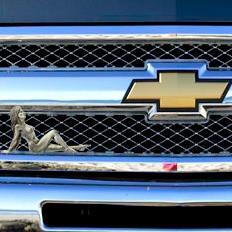 Mudflap-P Mudflap Antique Pewter Ornament, 3 x 5.5 in.