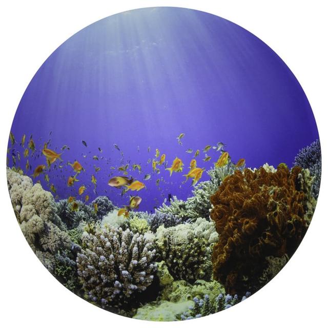 CTU73560 Under the Sea Discovery Play Mat