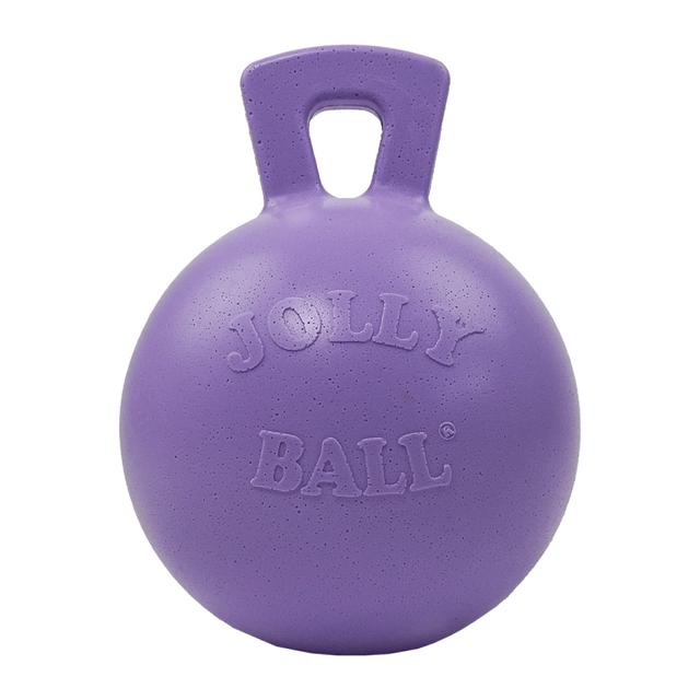 1172-GR Jolly Ball Scented Horse Toy - 10 in.