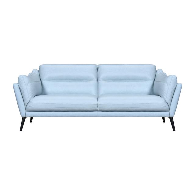 546414 35 x 87 x 38 in. Sky Blue & Black Leather Sofa