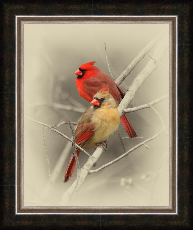 Two Cardinals Framed Canvas Art