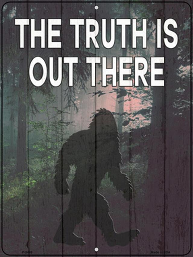 P-3449 9 x 12 in. The Truth Is Out There Novelty Metal Parking Sign