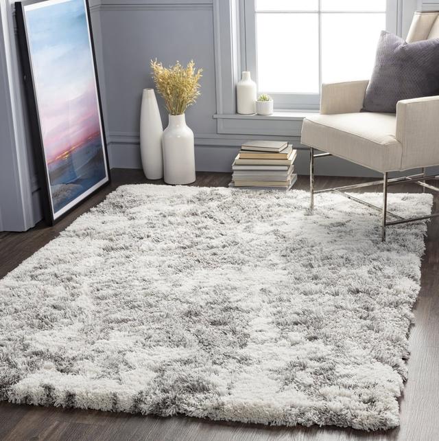 ASG2304-23 2 x 3 ft. Alta Shag Rectangle Area Rug&#44; Multi Color