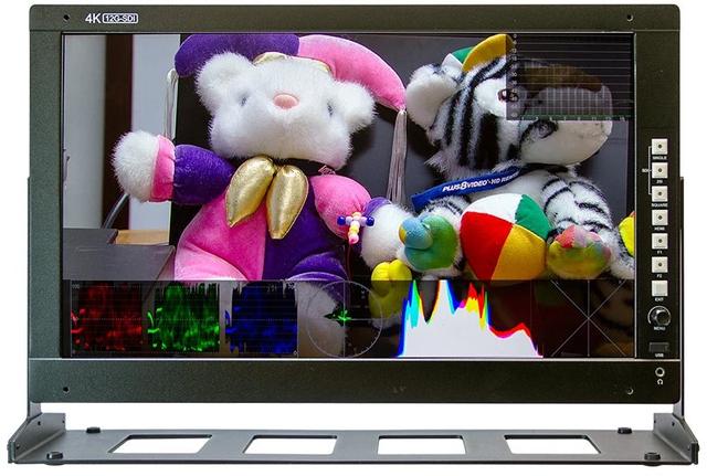 VZ-173PM-12G 17.3 in. 4K UHD Broadcast Monitor