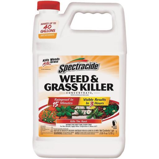 261048 1 gal Concentrate Weed & Grass Killer