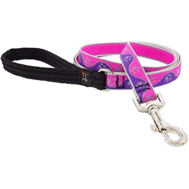 Lupine 107775 0.75 in. x 6 ft. Paws Dog Leash, Pink
