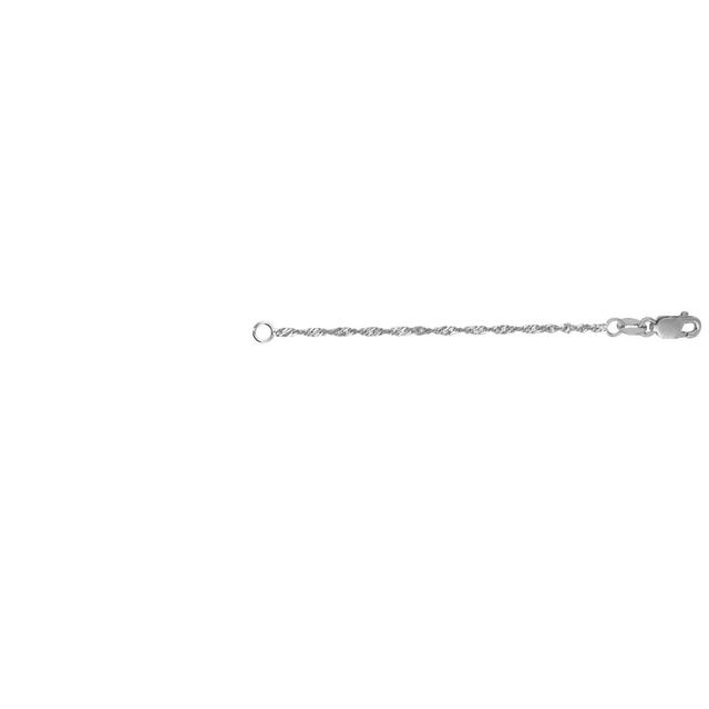 3 in. 14K White Gold Rope Extension Chain with Lobster Clasp