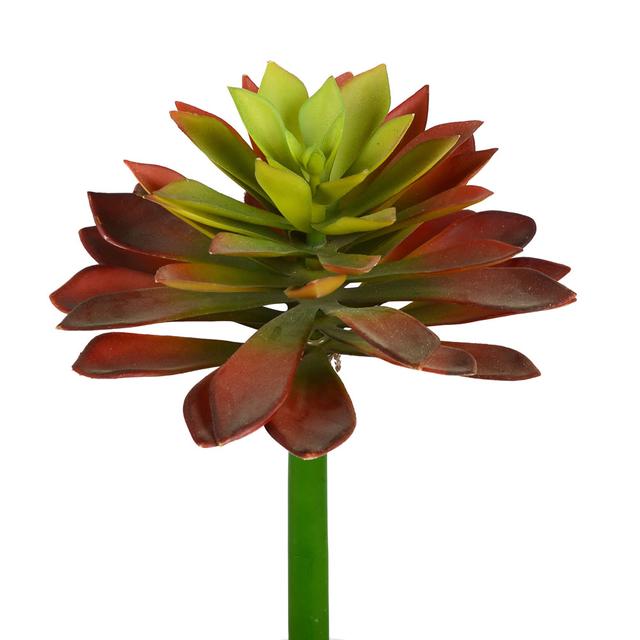FH180301 20 in. Red &amp; Green Succulent Stem