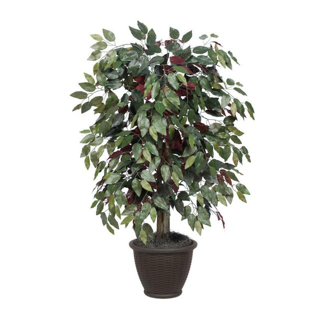 4 ft. Artificial Capensia Bush in Brown Plastic Container - Green & Red