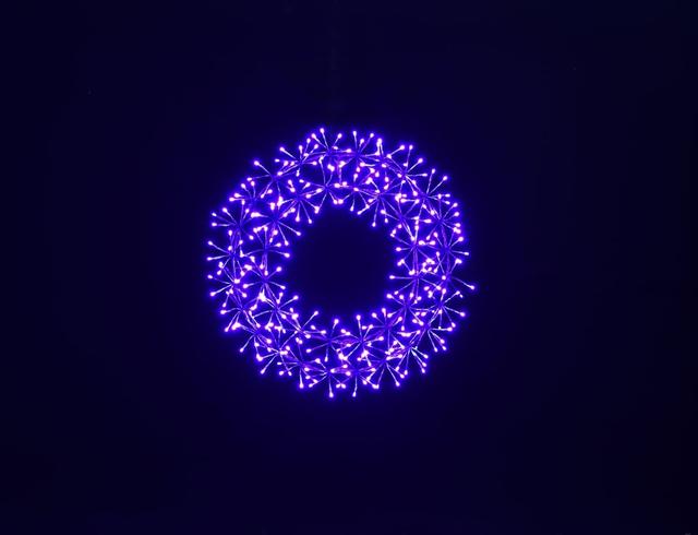 2 ft. Purple Micro LED Wreath with Purple Frame