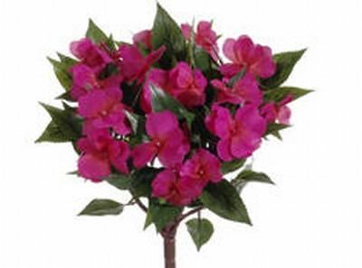 13.7 in. New Guinea Impatiens Bushes Beauty- Case of 6