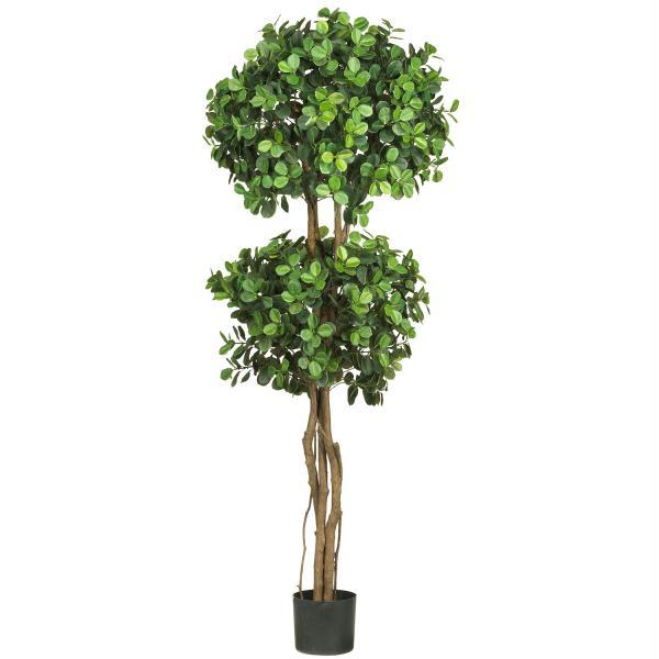 Silk 5.5 ft. Eucalyptus Double Ball Topiary Silk Tree - Green - 5.5 ft.