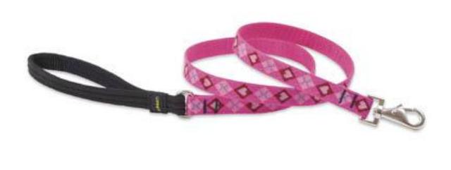 75 in. Puppy Love 6 ft. Padded Handle Dog Leash