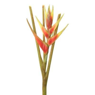 DIY Flower 44 in. L Artificial Dark Orange Heliconia Stem 12 per case - Pack of 4