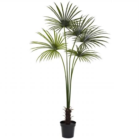 7 ft. Fan Palm Tree UV Resistant - Indoor & Outdoor Green 7 ft.