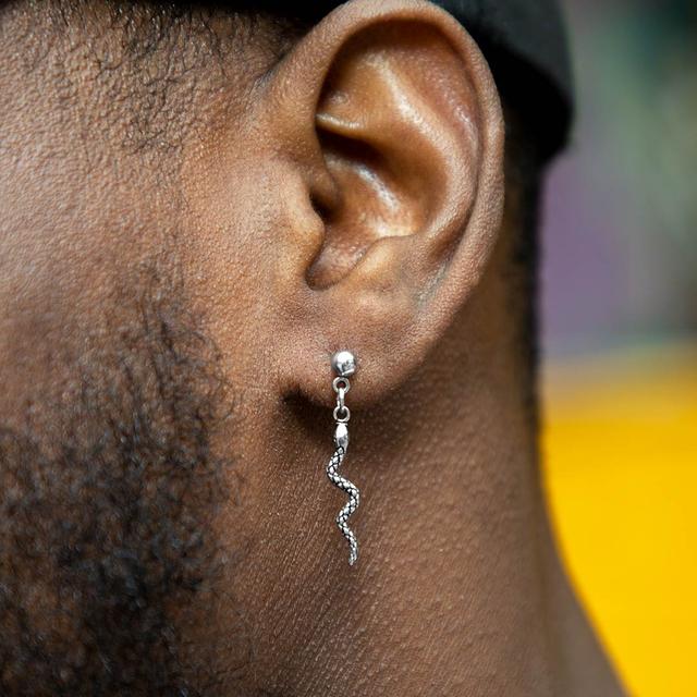 Climbing Snake Stainless Steel Earrings
