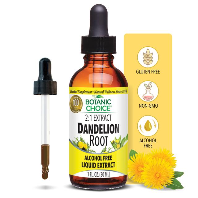 Dandelion Root Liquid Extract - Digestive Support Supplement - 1 Oz
