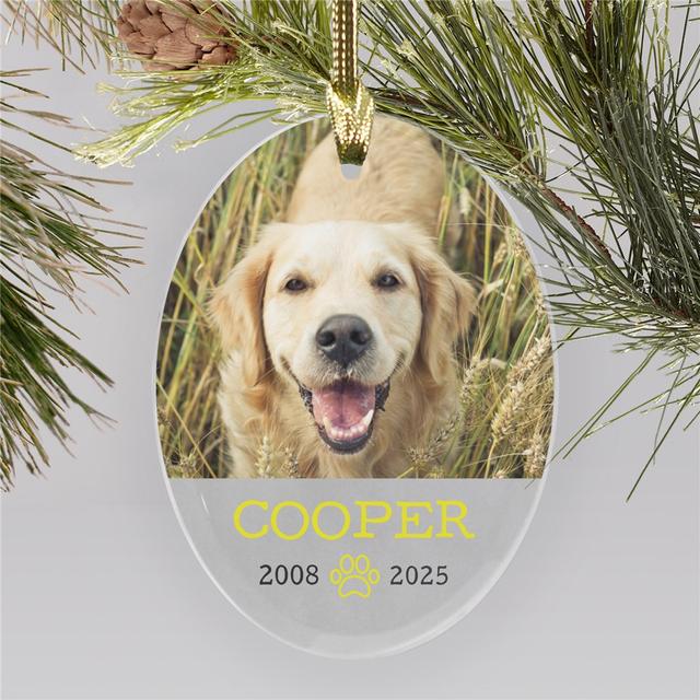 Personalized Pet Photo Memorial Ornament - Oval