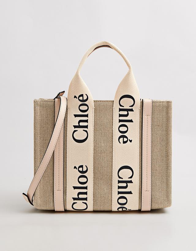 ChloÃÂ© Woody Small Linen Canvas Calfskin Crossbody Bag