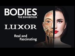 Bodies The Exhibition