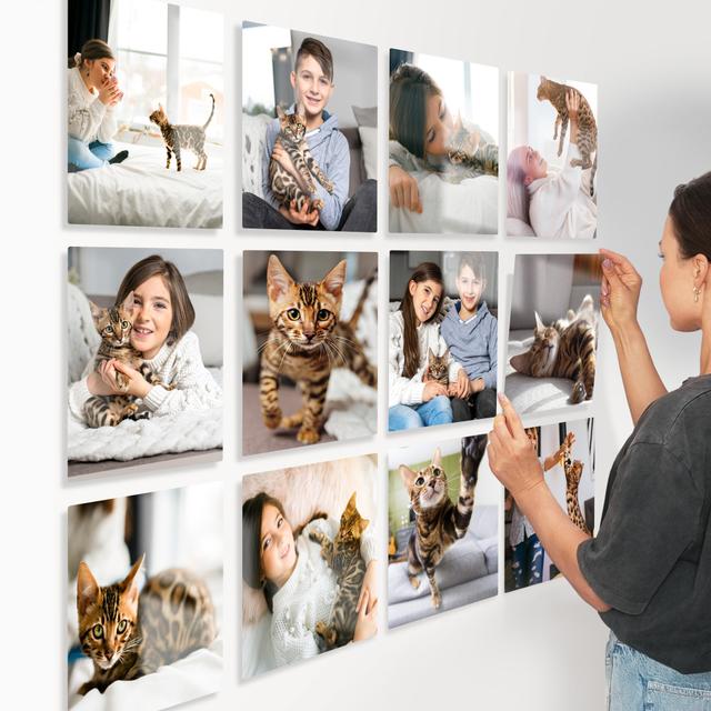 Glass Photo Tile 8x8 Square | Cat Lovers Set
