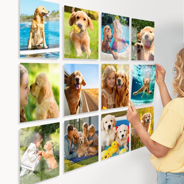 Glass Photo Tile 8x8 Square | Dog Lovers Set