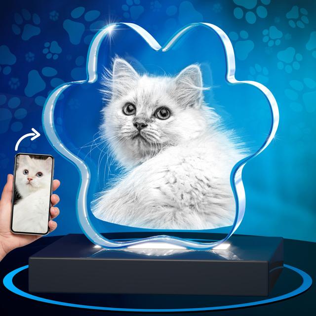 2D Crystal Pet Paw for Cat Lovers