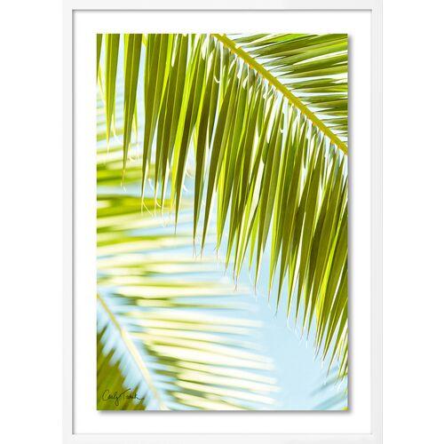 Carly Tabak - Palm 3 Southern California Photograph - White