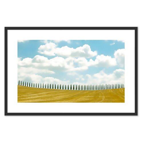 Judith Gigliotti - Tuscan Cypress Photograph - Black