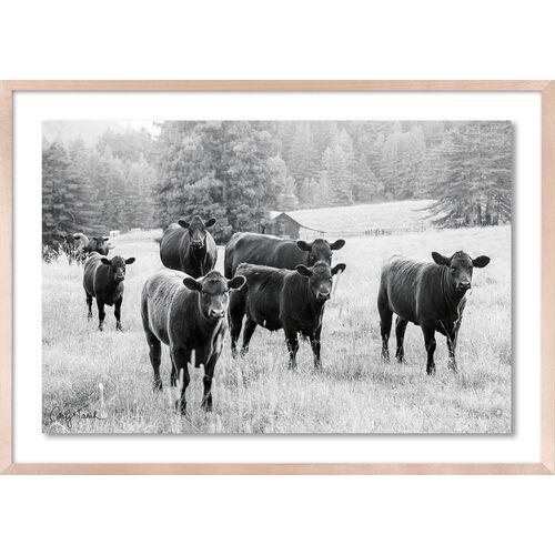 Carly Tabak - Cool and the Gang California Photograph - Beige