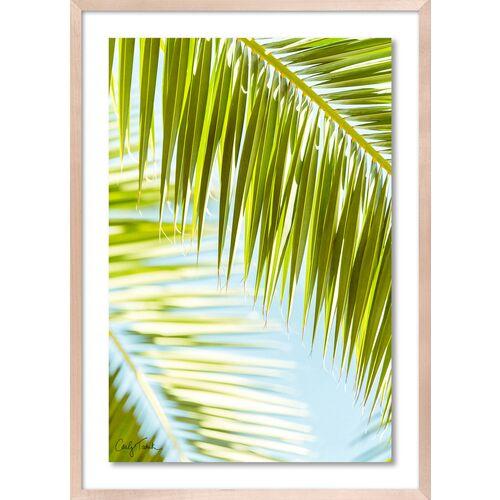 Carly Tabak - Palm 3 Southern California Photograph - Beige