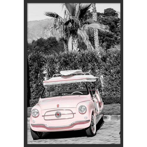Carly Tabak - Pink Lady Montecito Photograph - Black