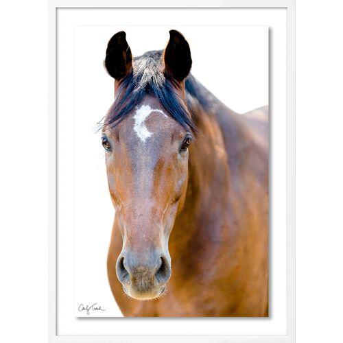 Carly Tabak - Palmer California Photograph - White