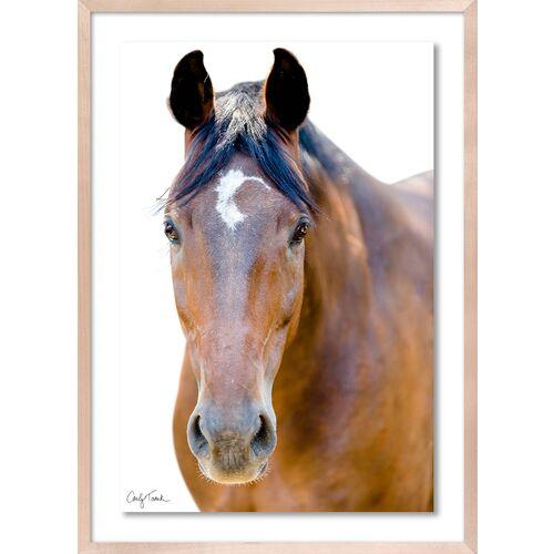 Carly Tabak - Palmer California Photograph - Beige