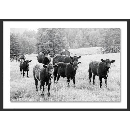 Carly Tabak - Cool and the Gang California Photograph - Black