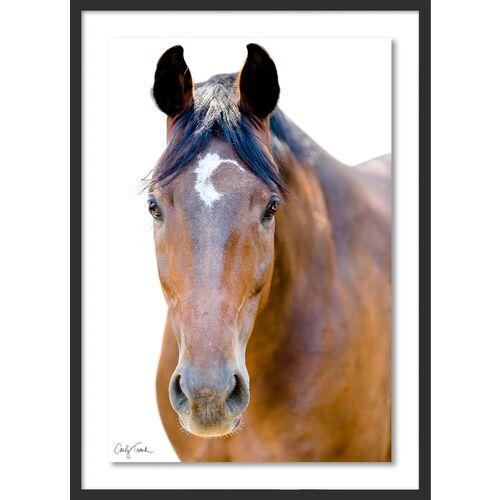 Carly Tabak - Palmer California Photograph - Black