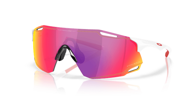 Oakley Mann Cybr Dyno Solbriller