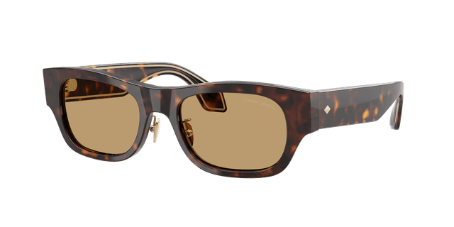 Giorgio Armani Homme Sunglass AR8224 - Couleur du Monture: Havana, Couleur de Lentille: Brun