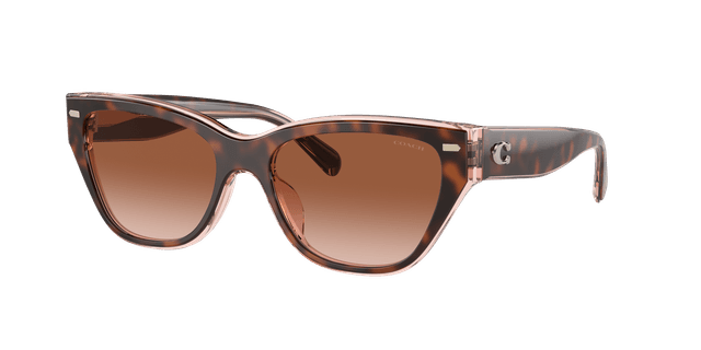 Coach Woman Sunglass HC8370U CH570 - Frame color: Tortoise/Transparent Pink, Lens color: Brown Pink Gradient