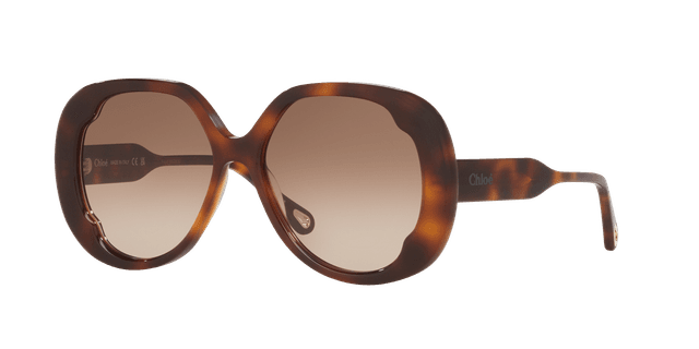 Chloé Femme Sunglass CH0195S - Couleur du Monture: Écaille, Couleur de Lentille: Brun