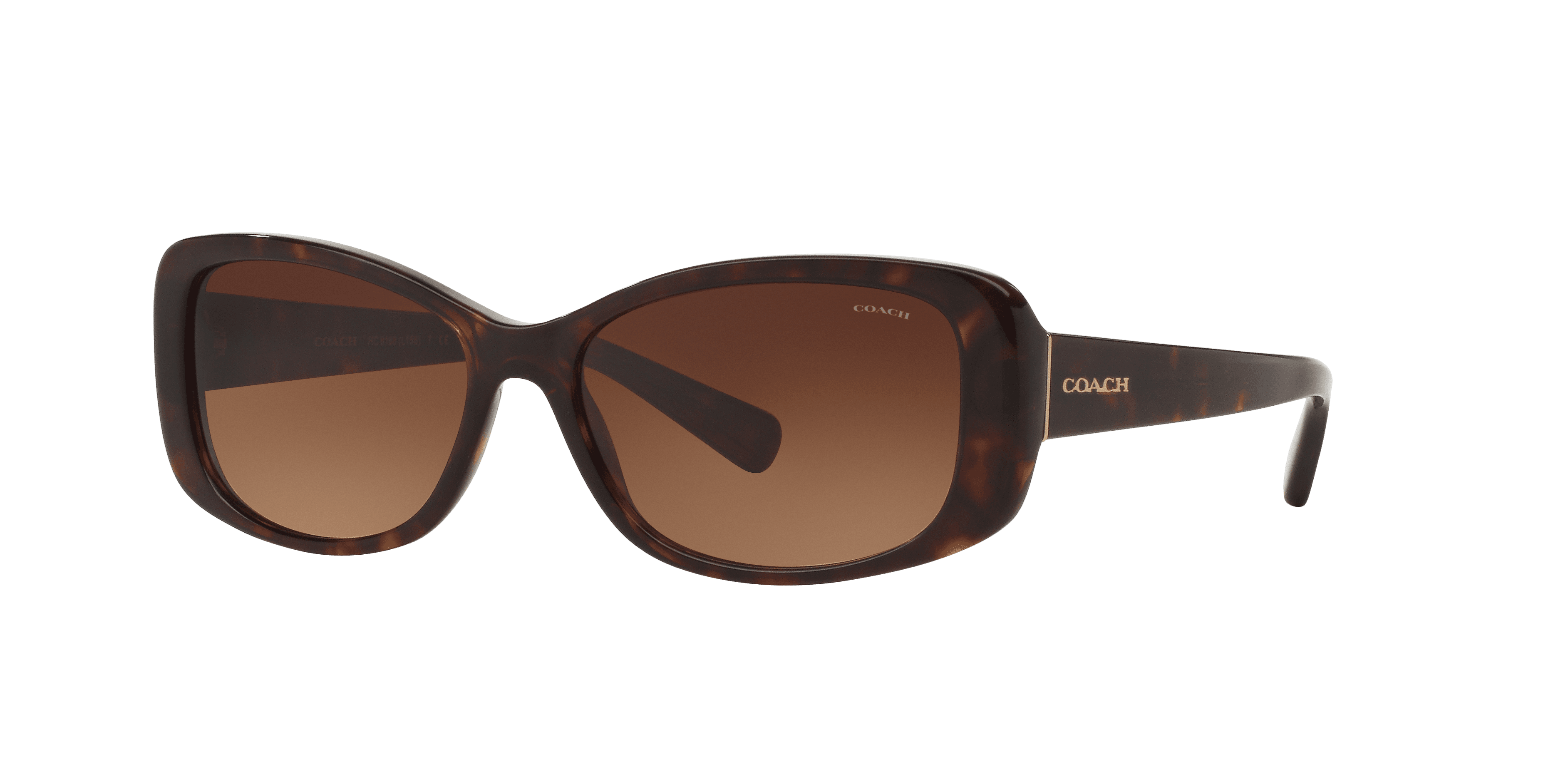 Coach Woman Sunglass HC8168 L156 - Frame color: Dark Tortoise, Lens color: Brown Gradient