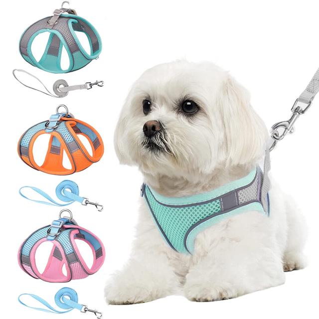 (Green, XXS) Cat&Dog Harness and Leash,Escape Proof Cat Vest Dog Walking Leash and Harness,Easy Control Vest for Small Large Kitten Dog Outdoor