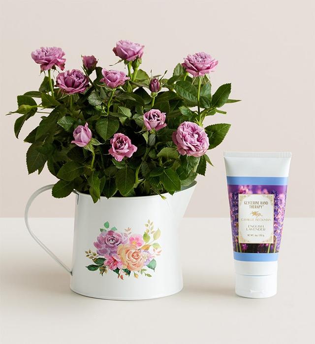 1-800-Flowers Flower Delivery Lavender Blooming Rose W/ Lotion